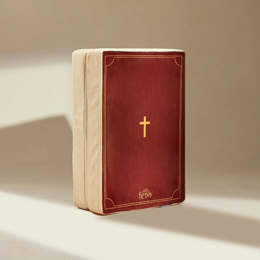 Bible SoulHug™