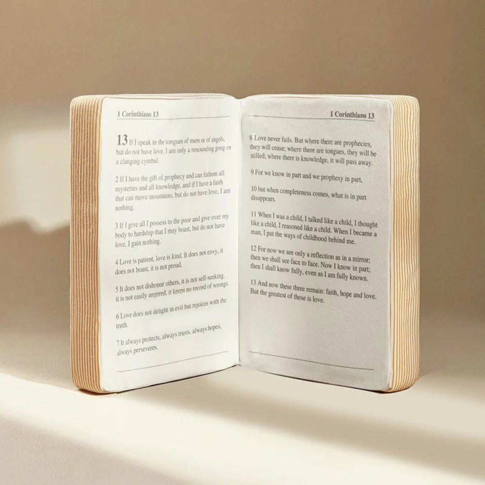 Bible SoulHug™
