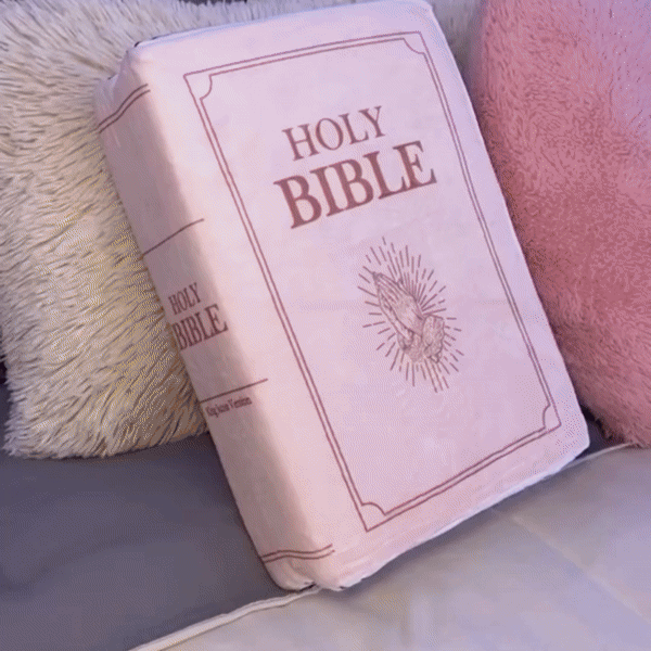 Bible SoulHug™