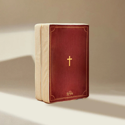 Bible SoulHug™